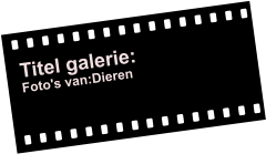 Titel galerie: Foto's van:Dieren